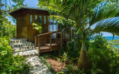 Cabane à Louer à Port Antonio – 1 Chambre, Vue Océan